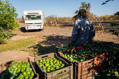 Image default